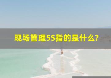 现场管理5S指的是什么?