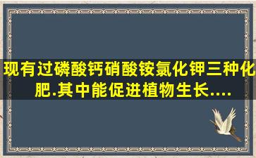 现有过磷酸钙、硝酸铵、氯化钾三种化肥.其中能促进植物生长....