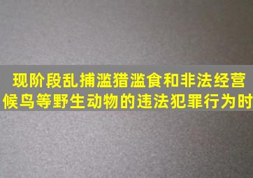 现阶段乱捕、滥猎、滥食和非法经营候鸟等野生动物的违法犯罪行为时