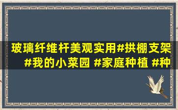 玻璃纤维杆美观实用#拱棚支架 #我的小菜园 #家庭种植 #种植 @武汉...