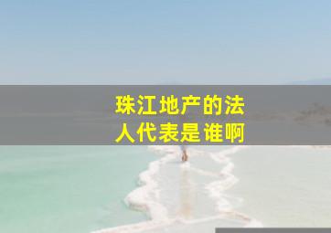 珠江地产的法人代表是谁啊。