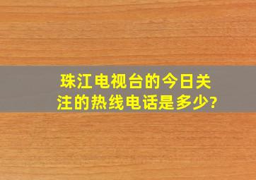 珠江电视台的今日关注的热线电话是多少?