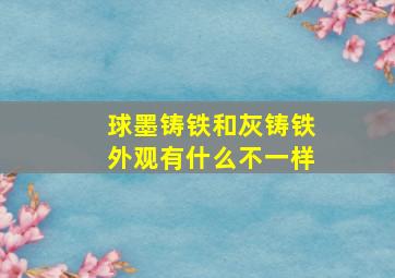 球墨铸铁和灰铸铁外观有什么不一样