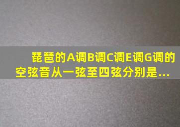 琵琶的A调、B调、C调、E调、G调、的空弦音从一弦至四弦分别是...