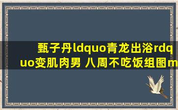 甄子丹“青龙出浴”变肌肉男 八周不吃饭(组图)——中新网