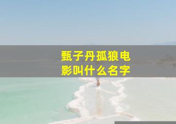 甄子丹孤狼电影叫什么名字