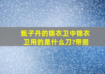 甄子丹的《锦衣卫》中锦衣卫用的是什么刀?带图