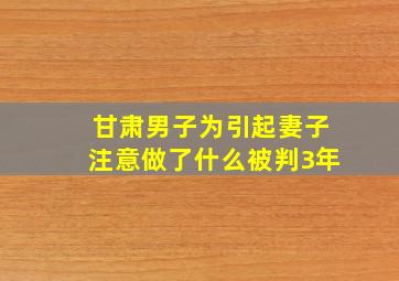 甘肃男子为引起妻子注意做了什么被判3年(