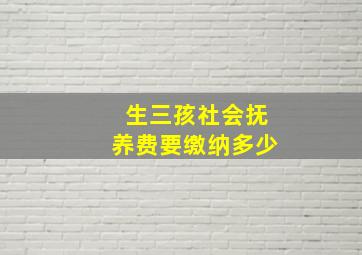 生三孩社会抚养费要缴纳多少