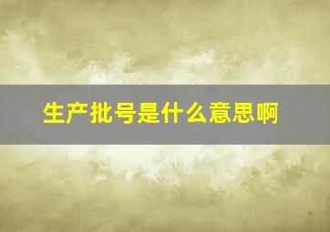 生产批号是什么意思啊(