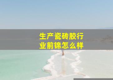 生产瓷砖胶行业前锦怎么样