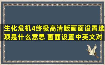 生化危机4终极高清版画面设置选项是什么意思 画面设置中英文对照