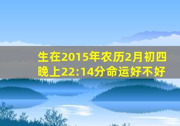 生在2015年农历2月初四晚上22:14分命运好不好