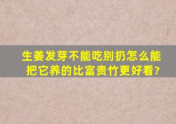 生姜发芽不能吃别扔,怎么能把它养的比富贵竹更好看?