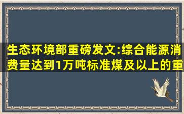 生态环境部重磅发文:综合能源消费量达到1万吨标准煤及以上的重点...