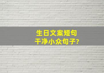 生日文案短句干净小众句子?