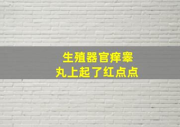 生殖器官痒,睾丸上起了红点点