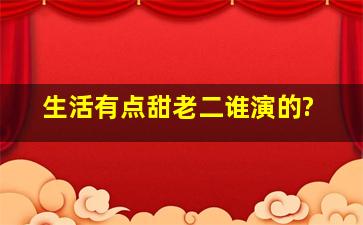 生活有点甜老二谁演的?