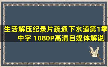 生活解压纪录片《疏通下水道》第1季中字 1080P高清自媒体解说素材...