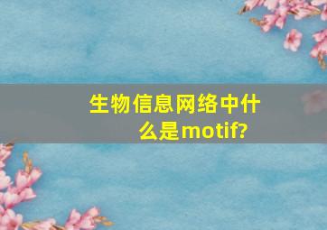 生物信息网络中什么是motif?