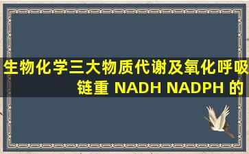 生物化学三大物质代谢及氧化呼吸链重 NADH NADPH 的产生