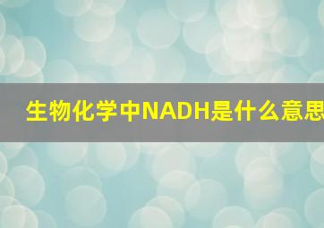 生物化学中NADH是什么意思