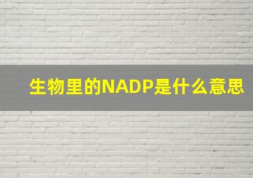 生物里的NADP是什么意思