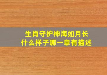 生肖守护神海如月长什么样子哪一章有描述(