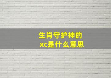 生肖守护神的xc是什么意思(