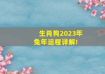 生肖狗,2023年兔年运程详解! 