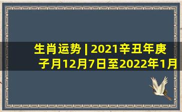 生肖运势 | 2021辛丑年庚子月(12月7日至2022年1月5日)十二生肖运势