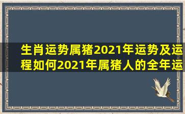 生肖运势,属猪2021年运势及运程如何,2021年属猪人的全年运势 