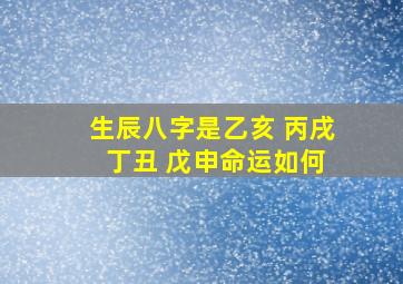 生辰八字是乙亥 丙戌 丁丑 戊申命运如何