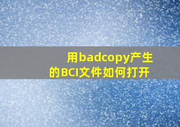 用badcopy产生的BCI文件如何打开