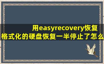 用easyrecovery恢复格式化的硬盘,恢复一半停止了怎么再继续