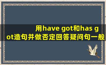 用have got和has got造句,并做否定回答疑问句一般疑问句,并做句型转换?