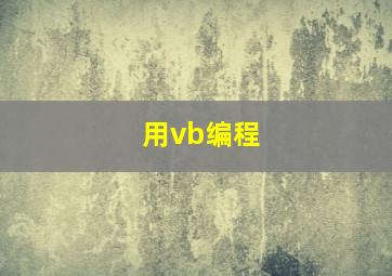 用vb编程