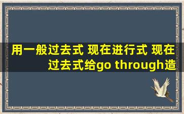 用一般过去式 现在进行式 现在过去式给go through造句