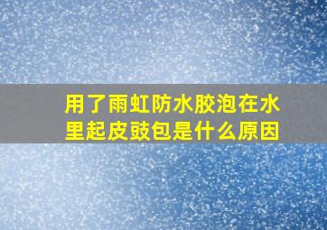 用了雨虹防水胶泡在水里起皮豉包是什么原因