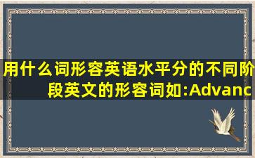 用什么词形容英语水平分的不同阶段,英文的形容词,如:Advanced.