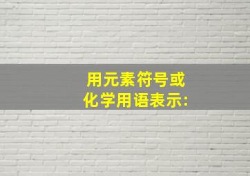 用元素符号或化学用语表示: