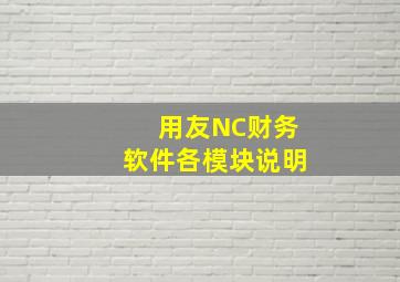 用友NC财务软件各模块说明