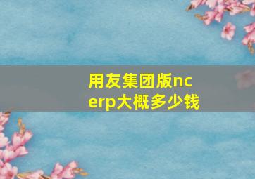 用友集团版nc erp大概多少钱