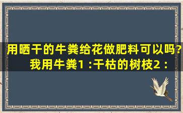 用晒干的牛粪给花做肥料可以吗?我用牛粪1 :干枯的树枝2 :沙土1