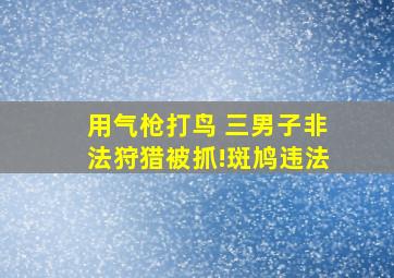 用气枪打鸟 三男子非法狩猎被抓!斑鸠违法