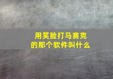 用笑脸打马赛克的那个软件叫什么