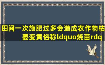 田间一次施肥过多会造成农作物枯萎变黄,俗称“烧苗”,其原因是()。