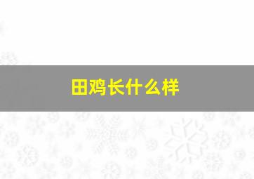 田鸡长什么样