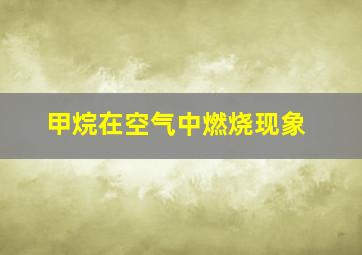 甲烷在空气中燃烧现象