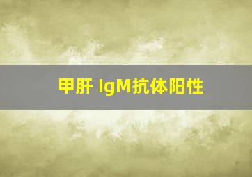 甲肝 IgM抗体阳性